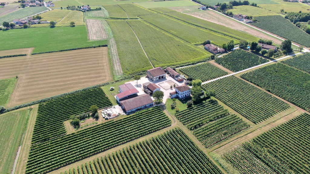 Eventi su misura per te in mezzo ai vigneti di Corte Viazza