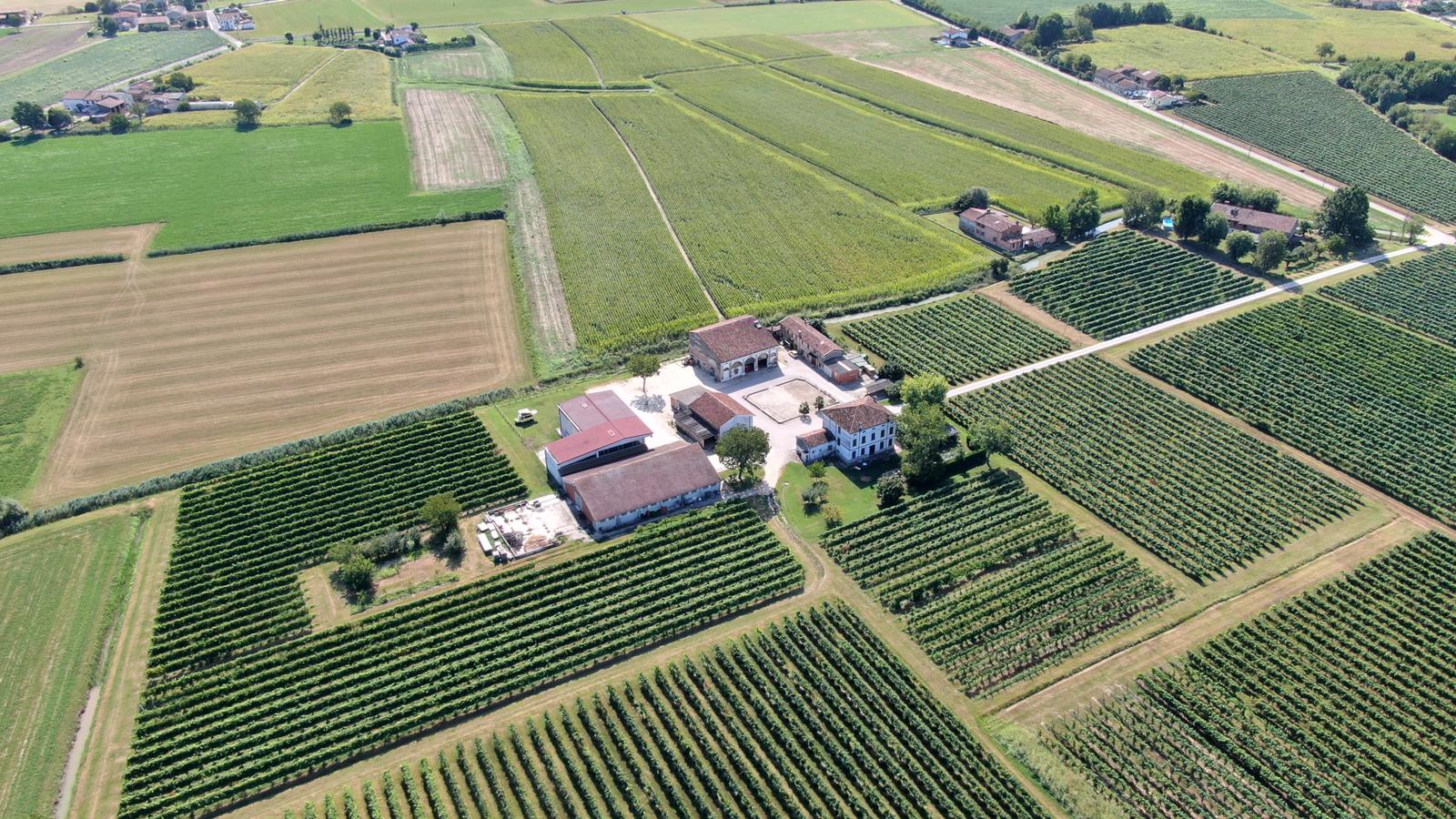 Eventi su misura per te in mezzo ai vigneti di Corte Viazza